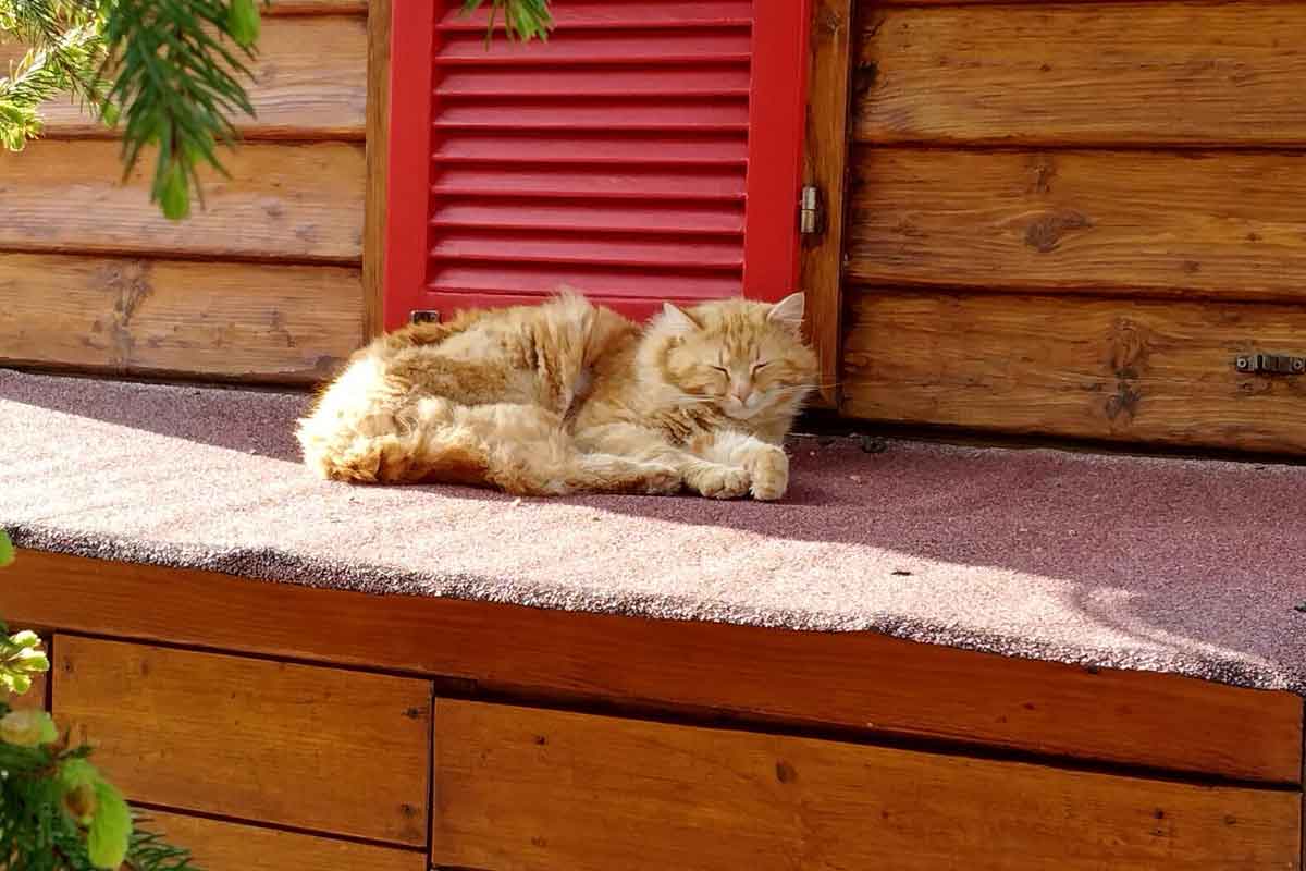 Ospiti felici che trascorrono la vacanza al Camping Amabile