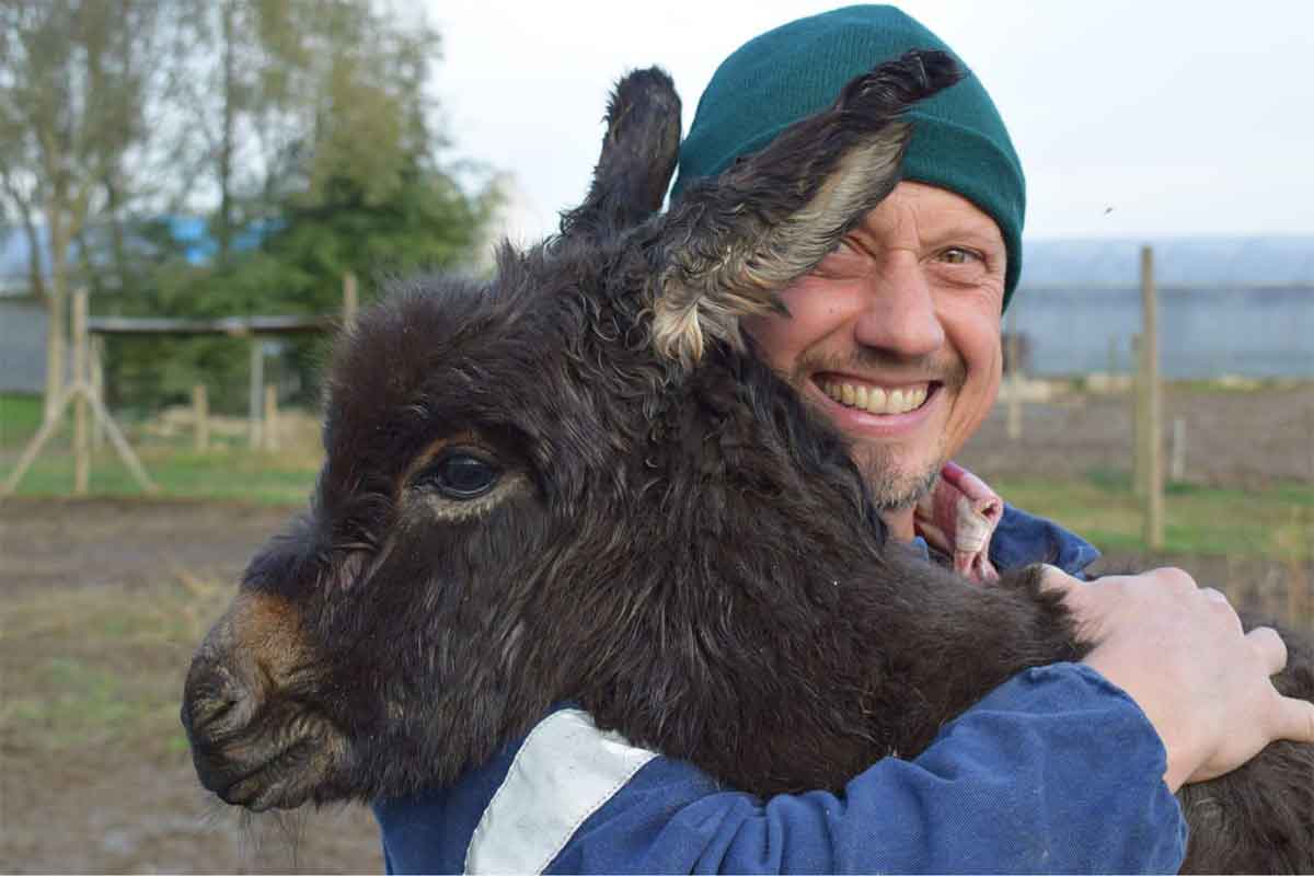 Asino del Camping Amabile durante un momento con Carlo, il propretario
