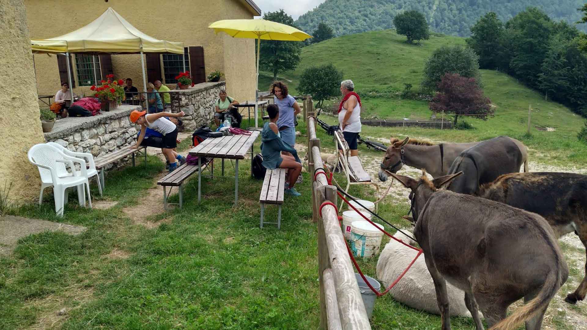 Attività di gruppo e momenti di socializzazione nel verde del Camping Amabile